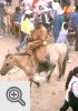Jarmag, festiwal Nadaam, dzień wyścigów konnych