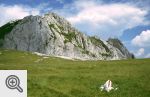 Mały Retezat - Piatra Iorgovanului