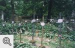 Cmentarz polskich żołnierzy poległych w Powstaniu Listopadowym