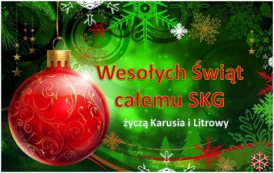 WESOŁYCH ŚWIĄT :)