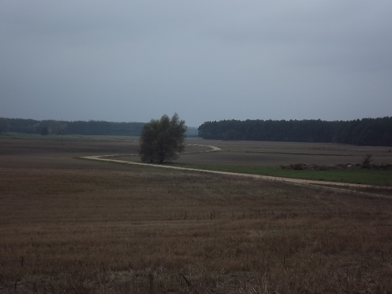DSCF6404