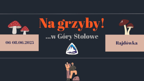 Na grybyr