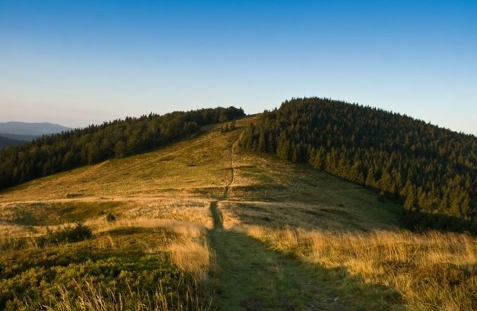 fot. shutterstock
