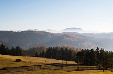 fot. shutterstock3 2