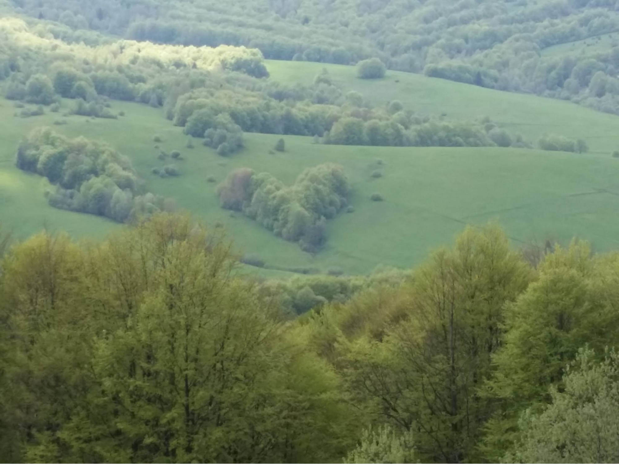 image4.png