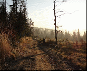 Relacja_z_obchodw_35_lecia_SKG_-_autor_Maja_Bednarz_html_1649b8c4