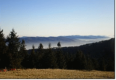Relacja_z_obchodw_35_lecia_SKG_-_autor_Maja_Bednarz_html_m7c0b2929