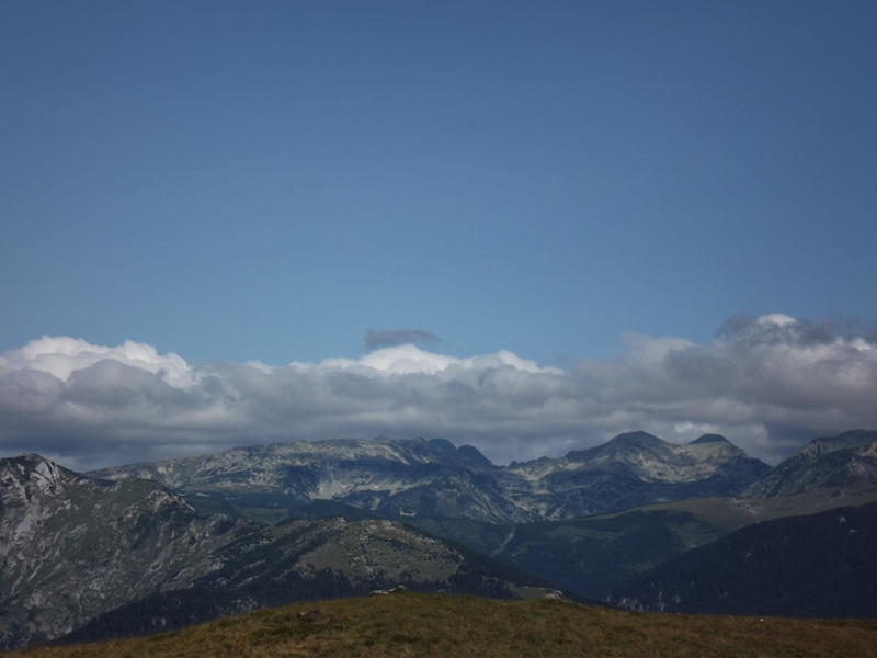 widok