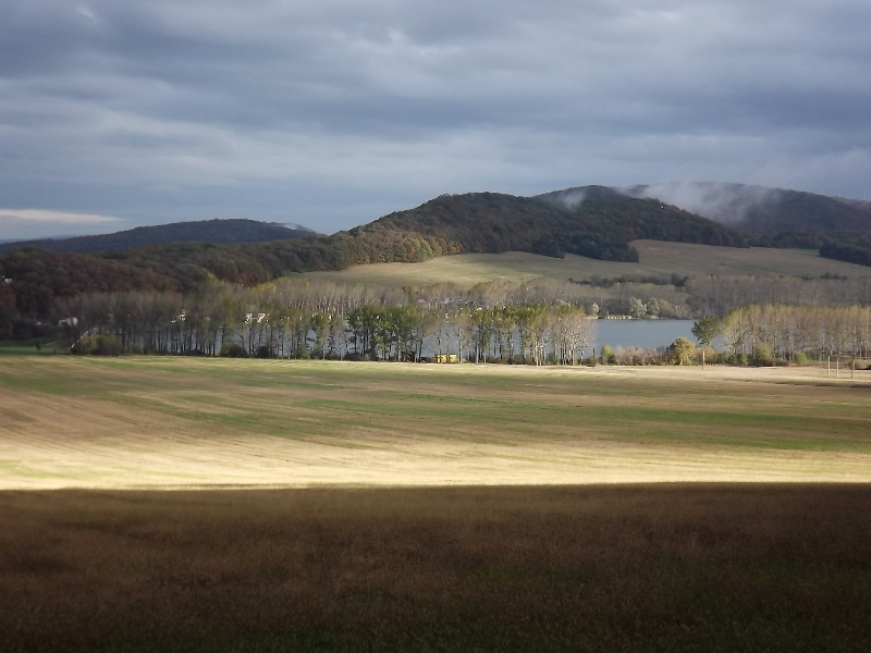 DSCF6526