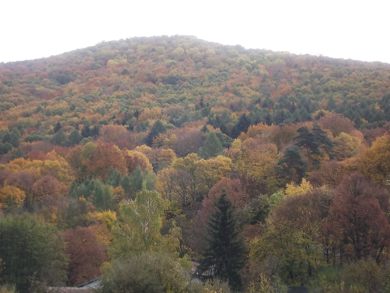 DSCF6643