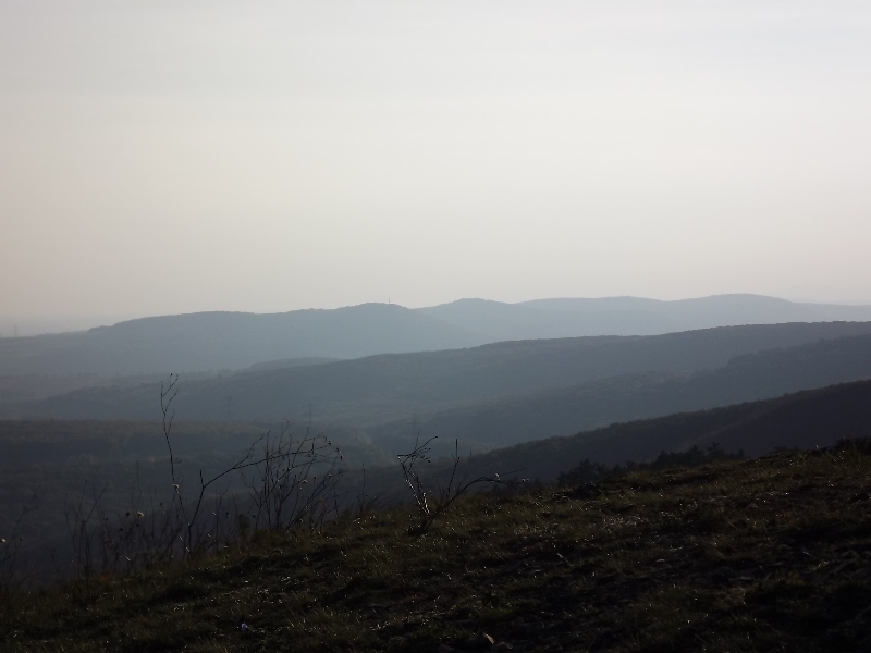 DSCF6650