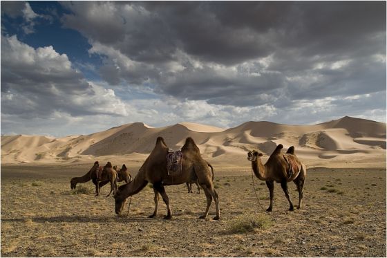 Mongolia