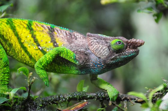 25.04_Madagaskar