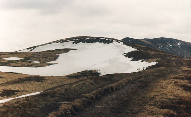 Szeroki Wierch (w tle Tarnica)
