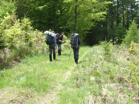 g-p_2013_TW_01
